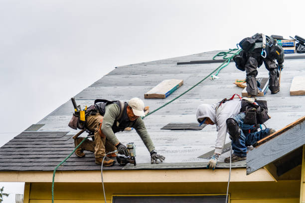 Professional Roofing technician working in Hebron, IL